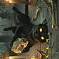 Nine-Lives Familiar // Nine-Lives Familiar - Art - Miniatura 2