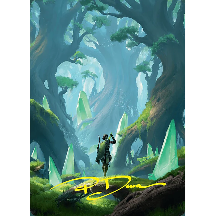 Forest // Forest - Art 1