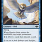 Harrier Strix - Miniatura 2