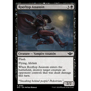 Rooftop Assassin