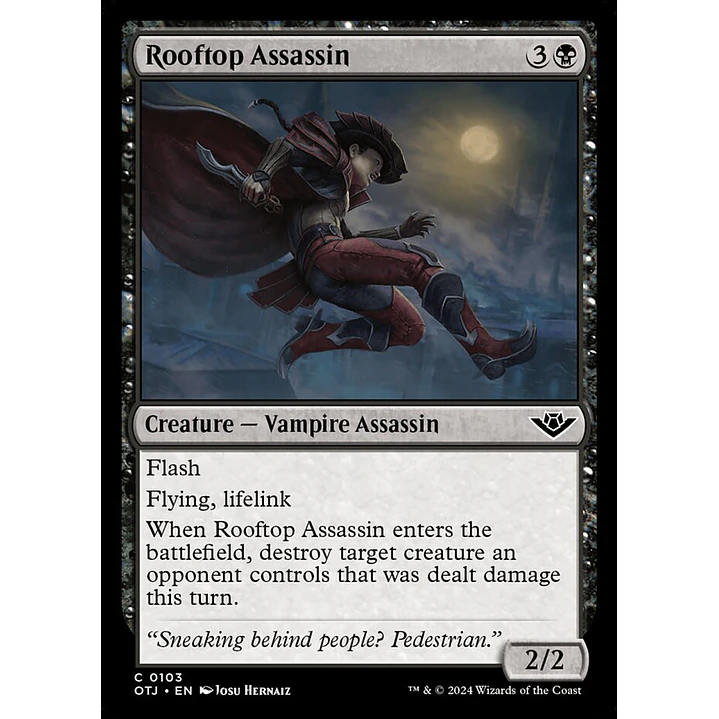 Rooftop Assassin 2