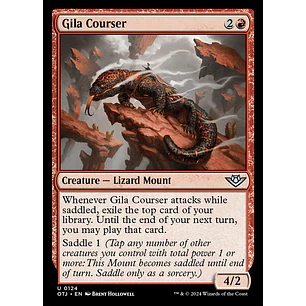 Gila Courser