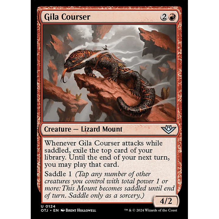 Gila Courser 1