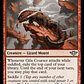 Gila Courser - Miniatura 1