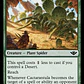 Cactarantula - Miniatura 2