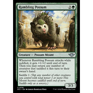 Rambling Possum