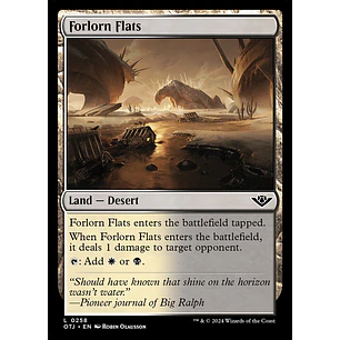 Forlorn Flats