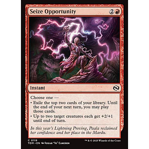 Seize Opportunity