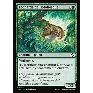 Undergrowth Leopard