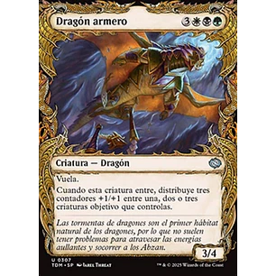 Armament Dragon