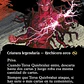 Tersa Lightshatter - Miniatura 1