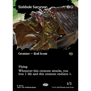 Sinkhole Surveyor