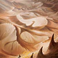 Plains // Plains - Art - Miniatura 1