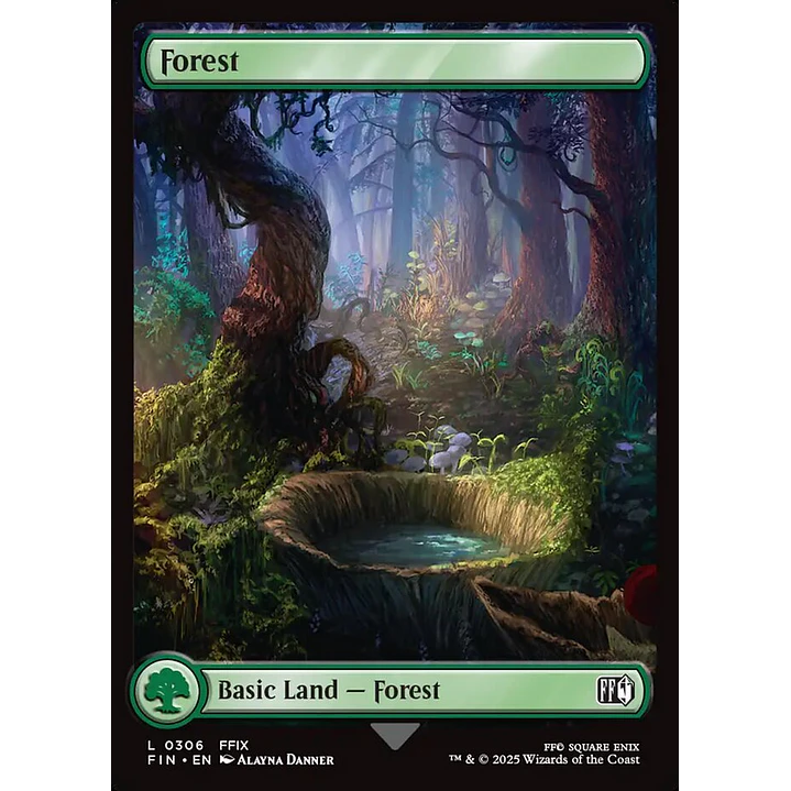 Forest 1