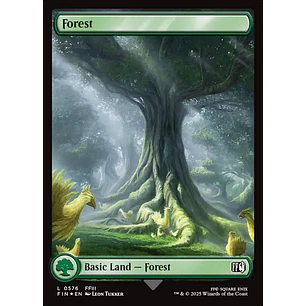 Forest