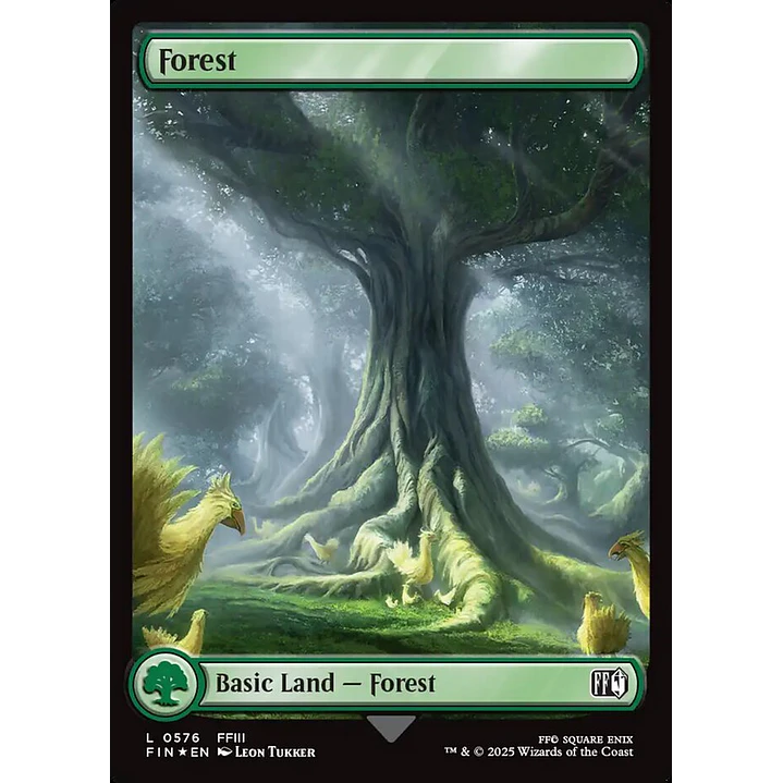 Forest 1