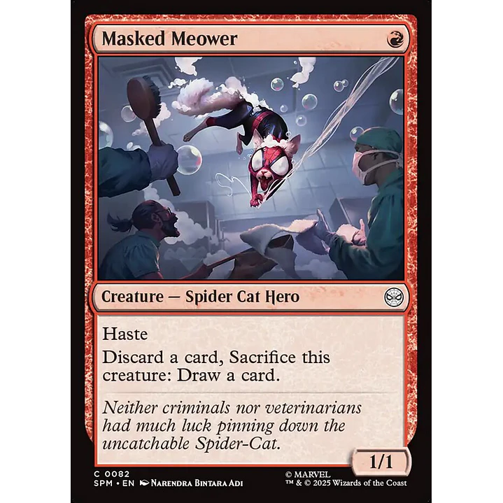 Masked Meower 1