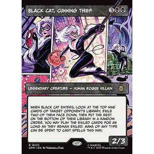 Black Cat, Cunning Thief