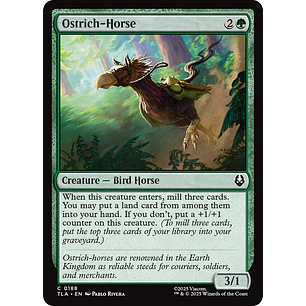 Ostrich-Horse