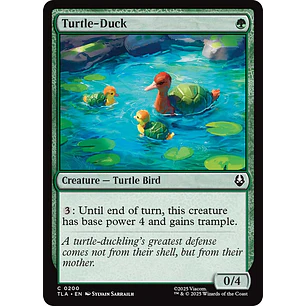 Turtle-Duck