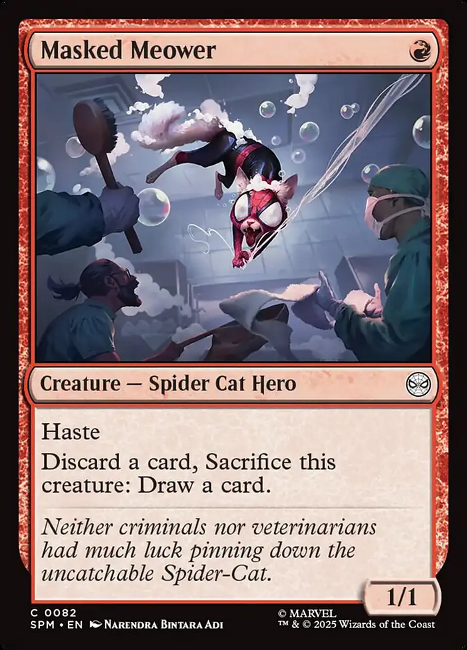 Masked Meower 1