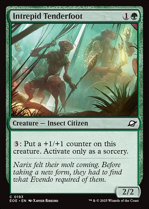 Intrepid Tenderfoot