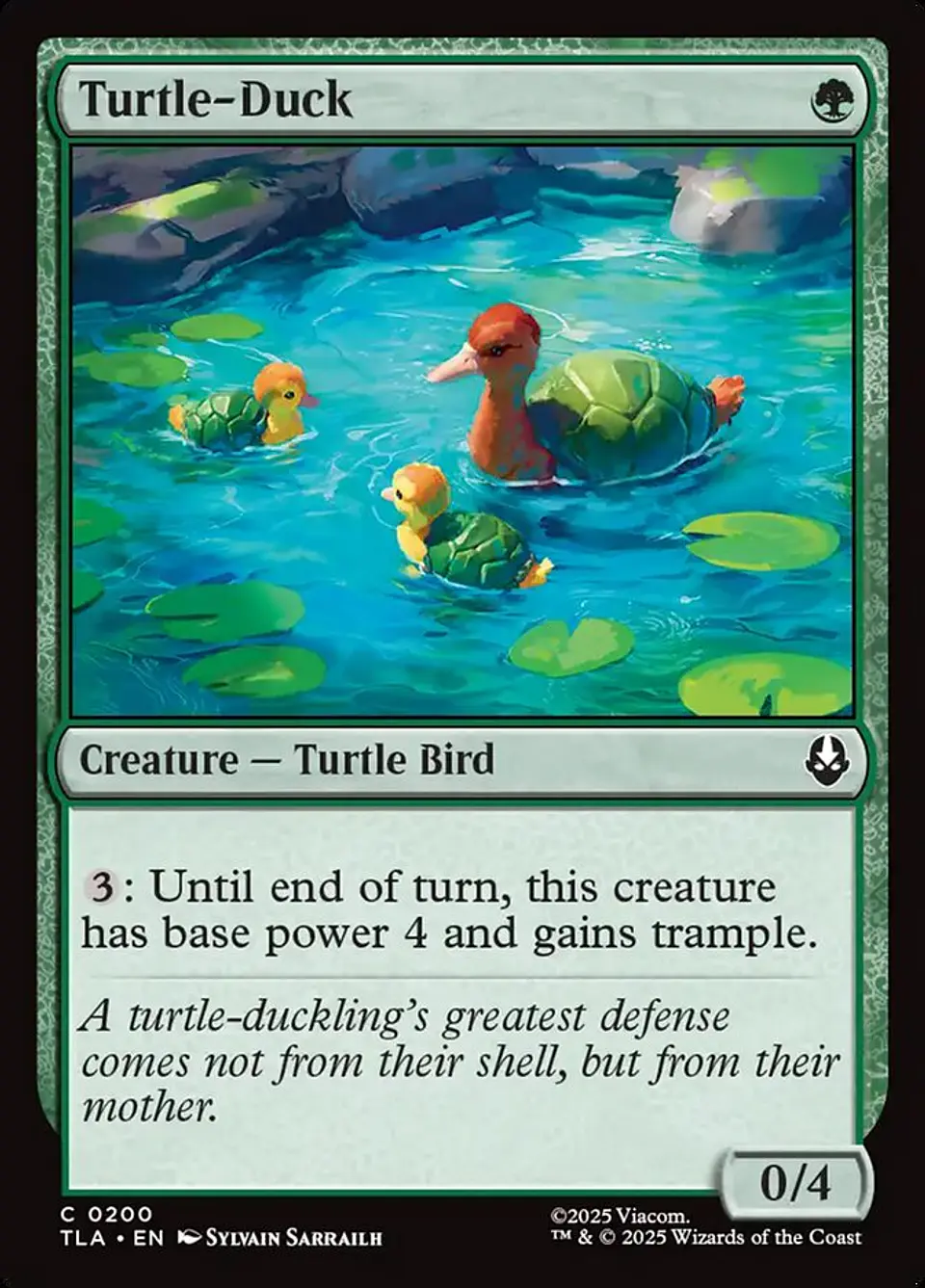 Turtle-Duck 1