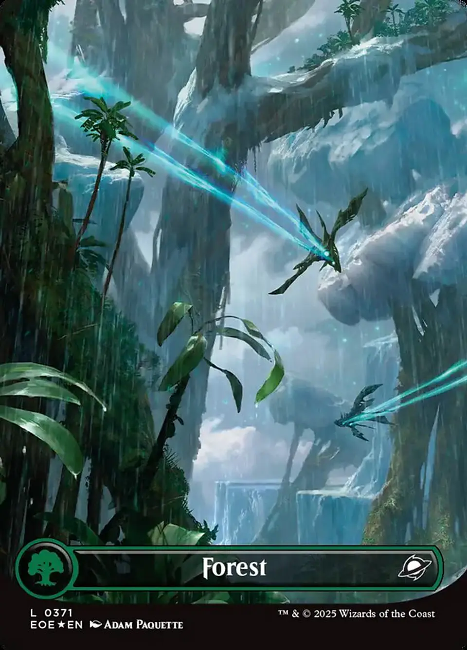 Forest (Borderless) 1