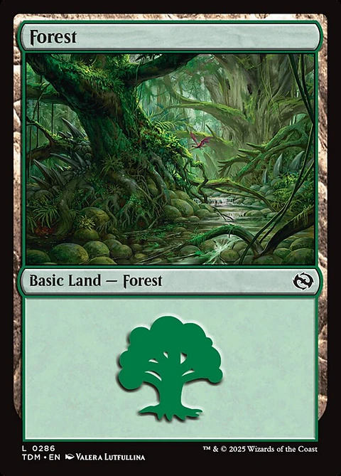 Forest