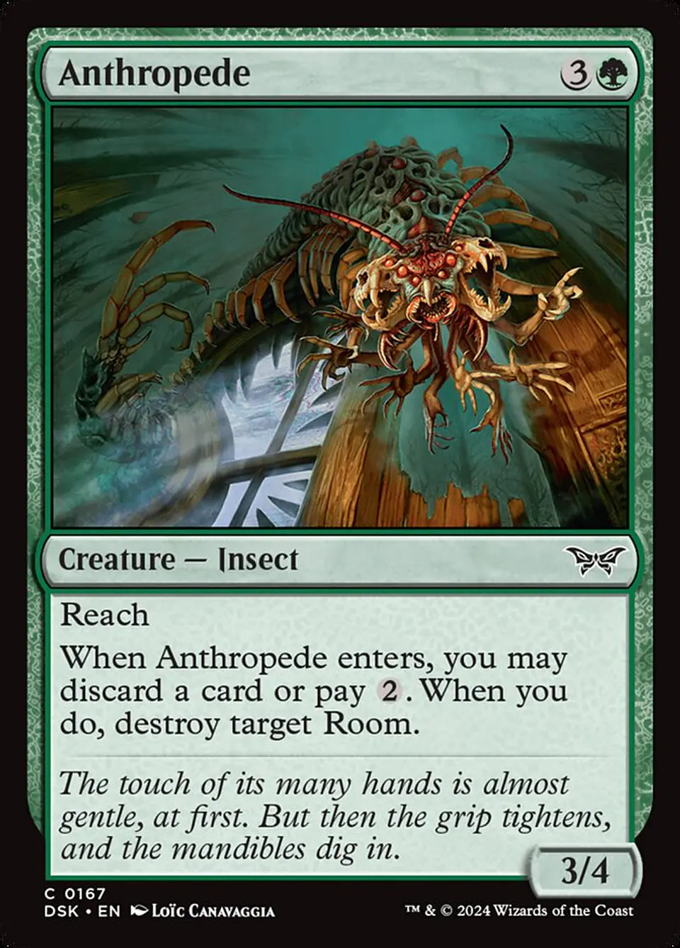 Anthropede 1