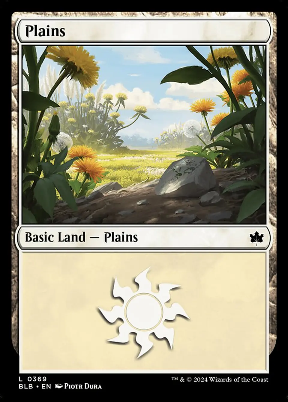 Plains 1