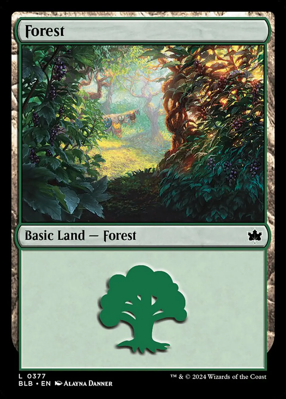 Forest 1