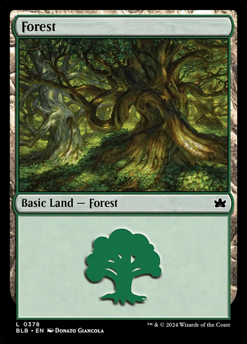 Forest 1