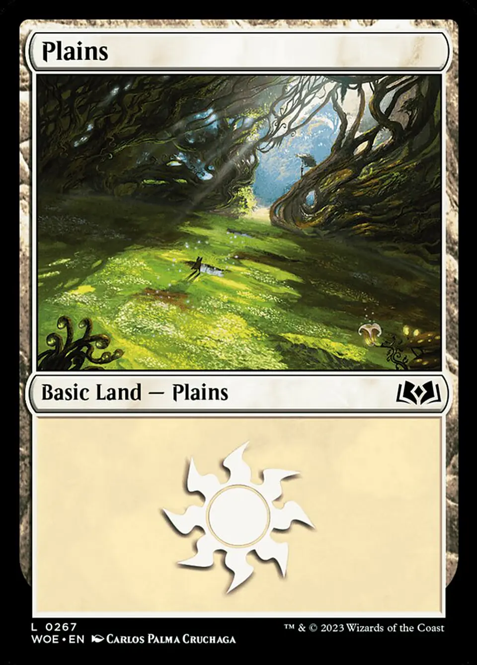 Plains 1