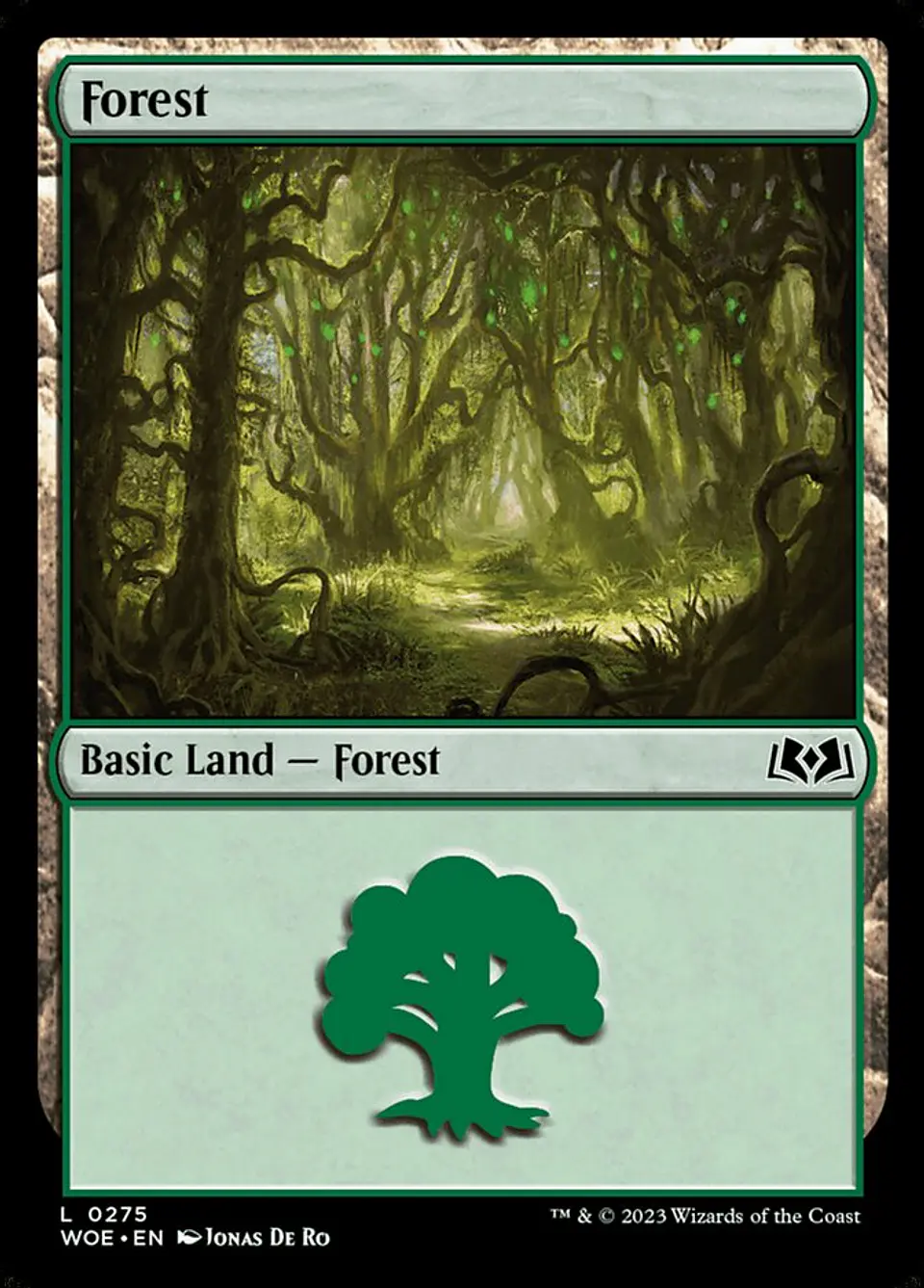 Forest 1
