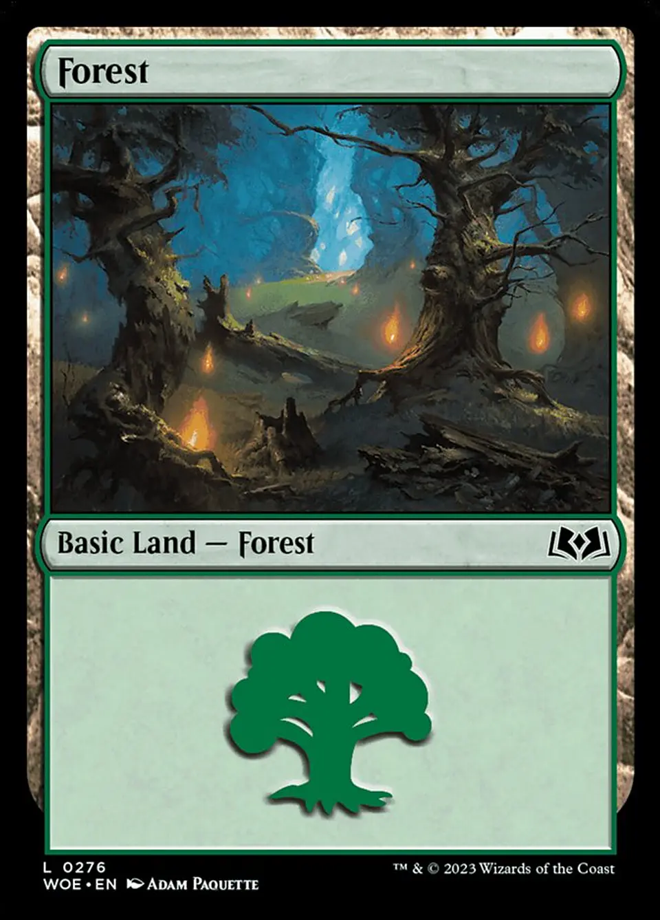 Forest 1