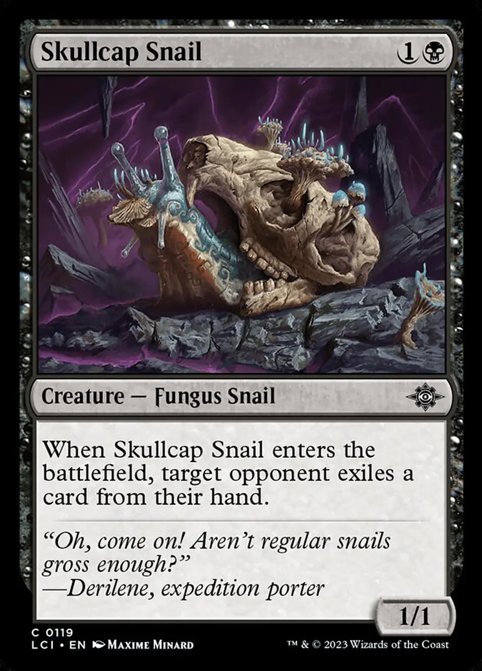 Skullcap Snail 1
