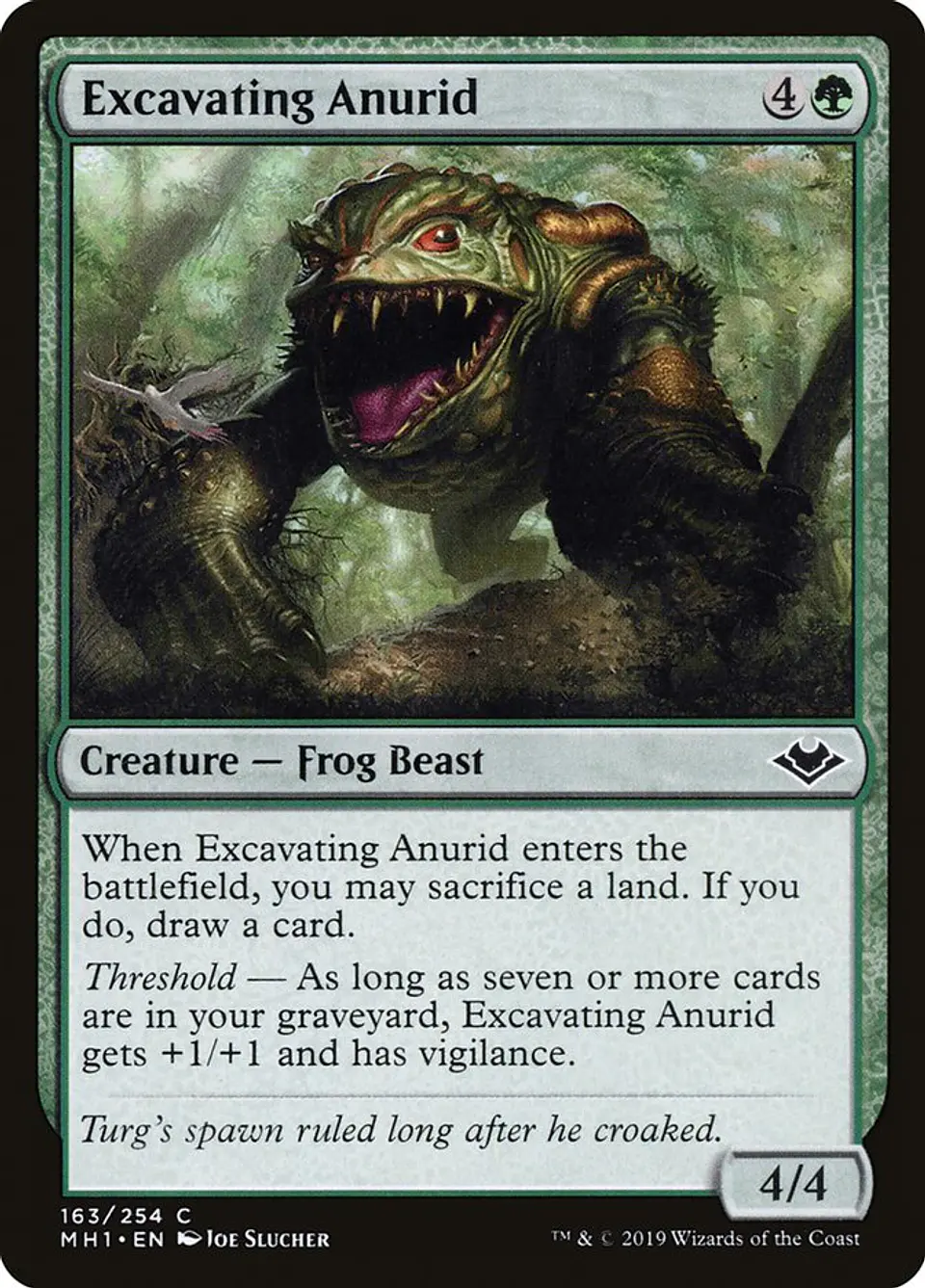 Excavating Anurid 1