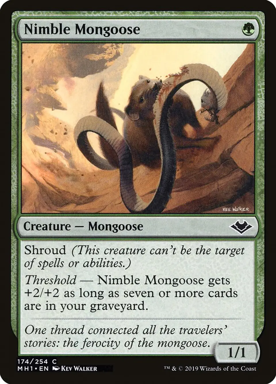 Nimble Mongoose 1
