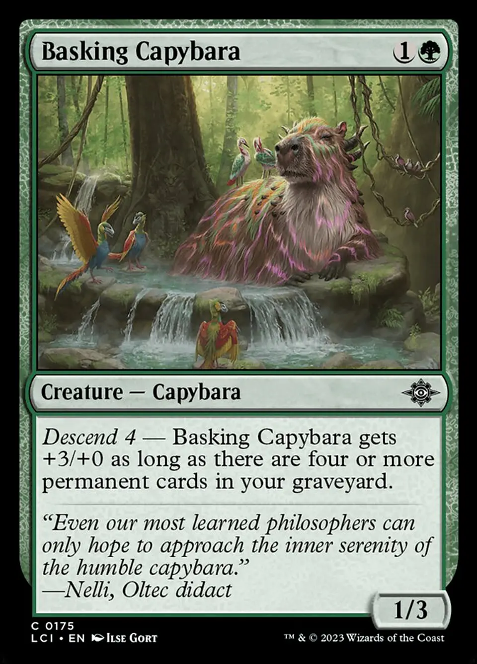 Basking Capybara 1