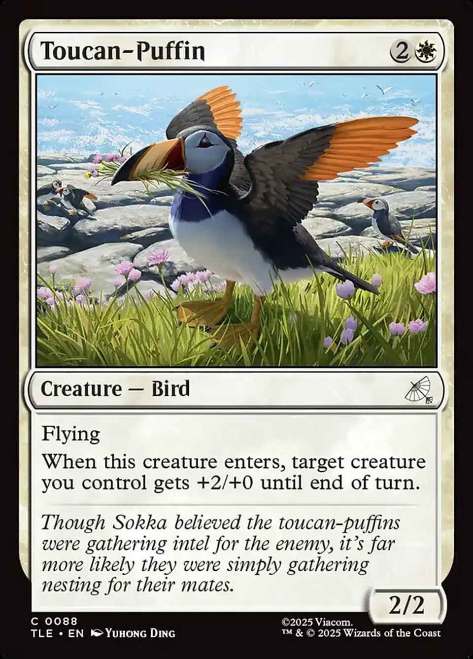 Toucan-Puffin 1