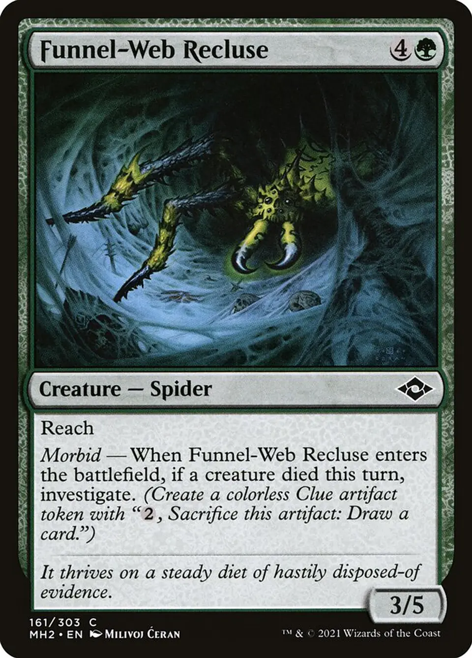 Funnel-Web Recluse 1