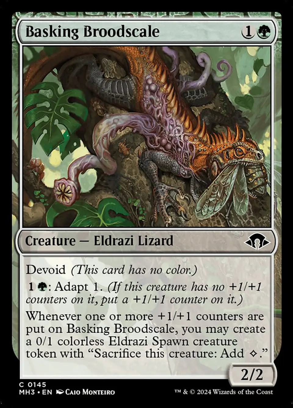 Basking Broodscale 1