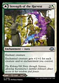 Strength of the Harvest // Haven of the Harvest - thumbnail 1