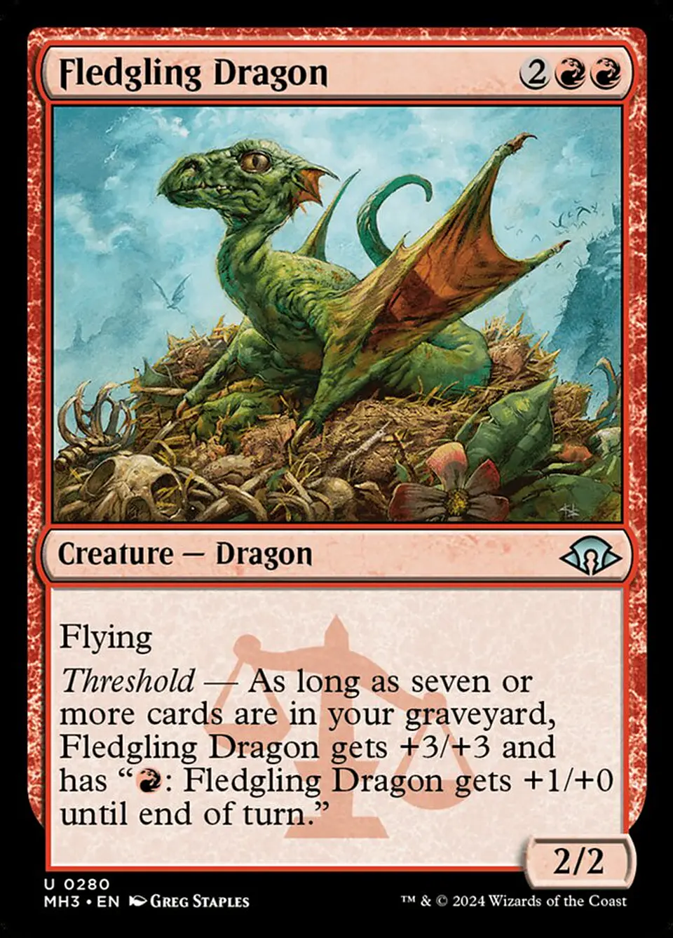 Fledgling Dragon 1