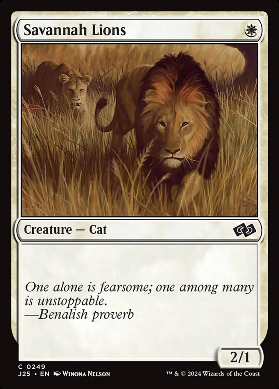 Savannah Lions 1