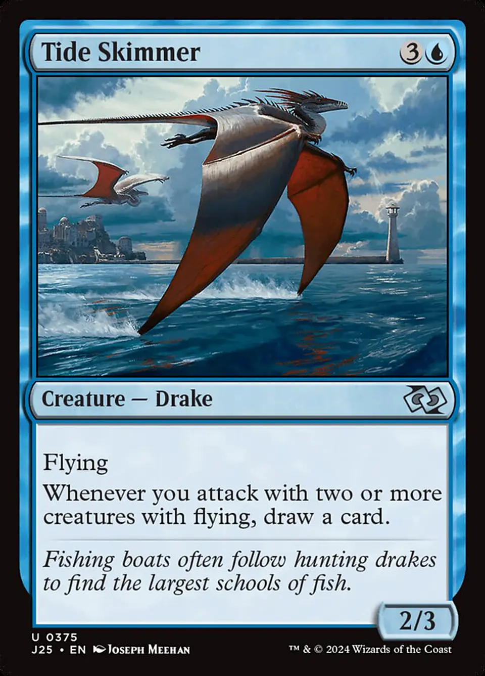 Tide Skimmer 1
