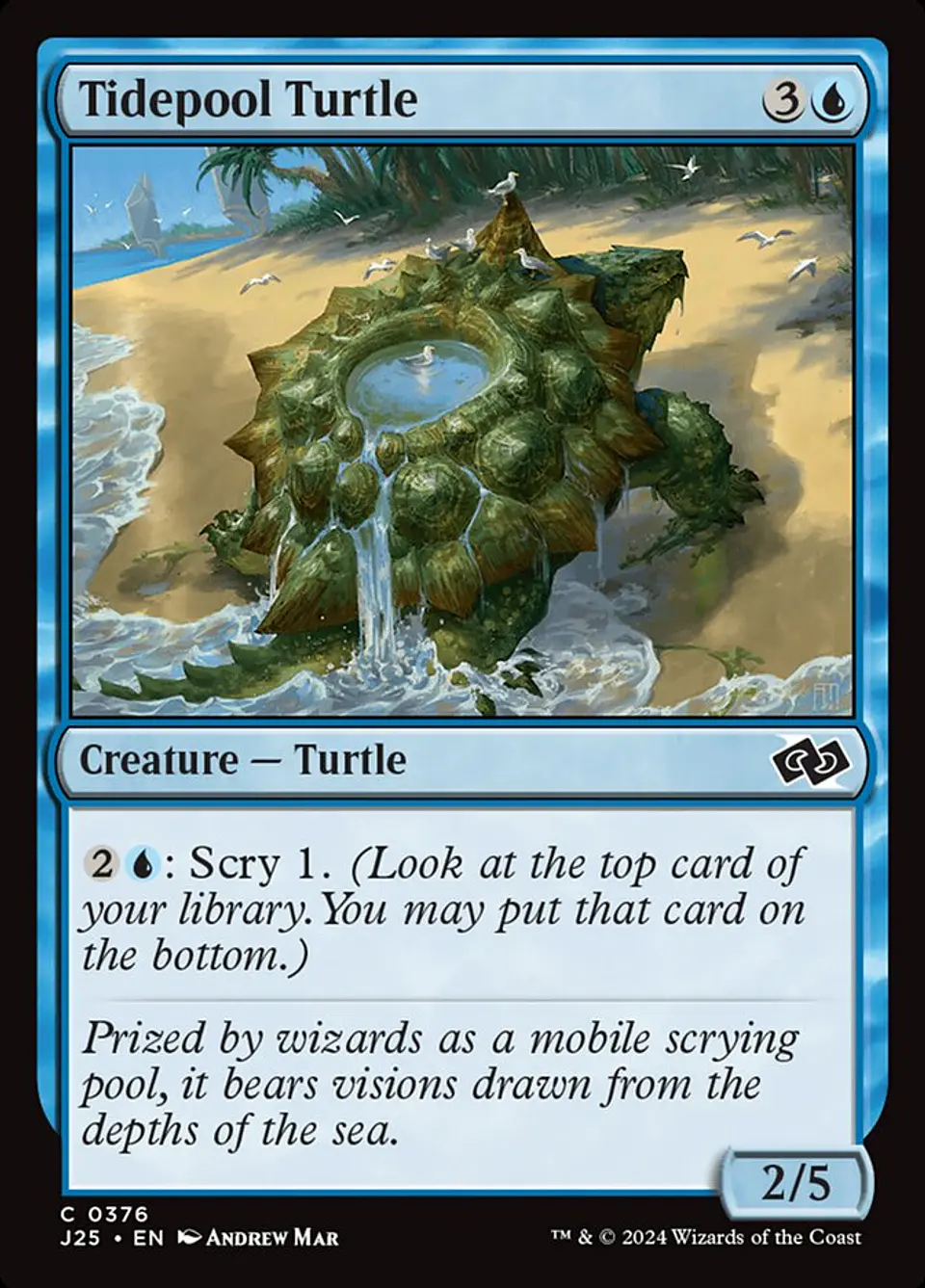 Tidepool Turtle 1