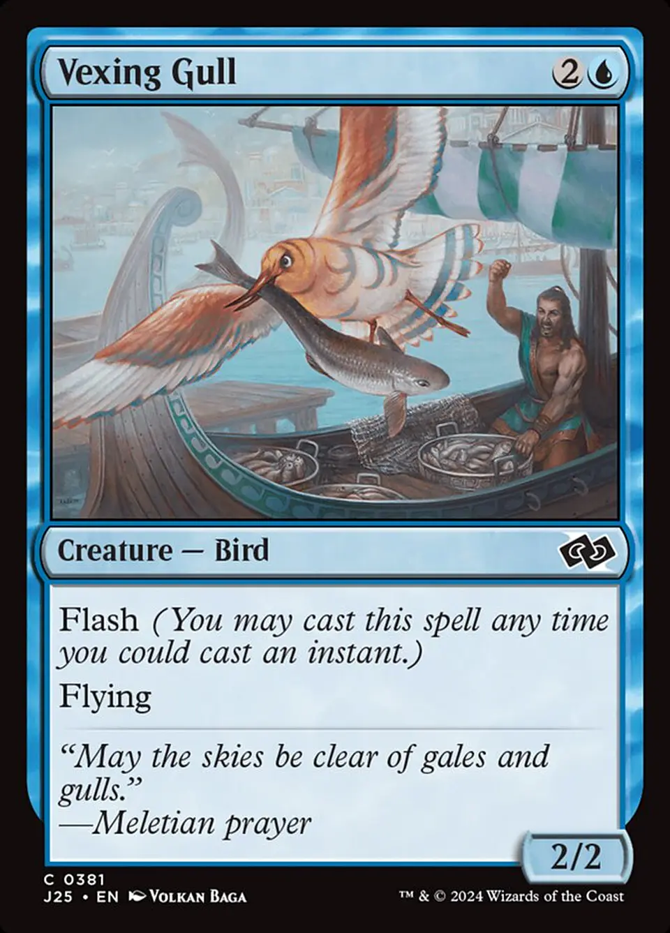 Vexing Gull 1