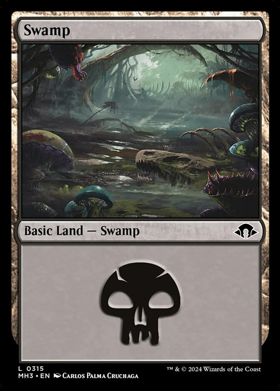 Swamp 1